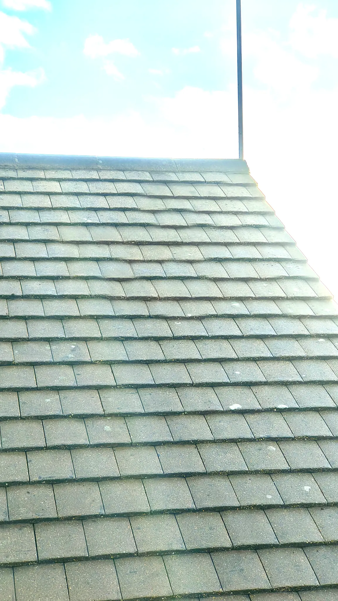 After roof cleaning